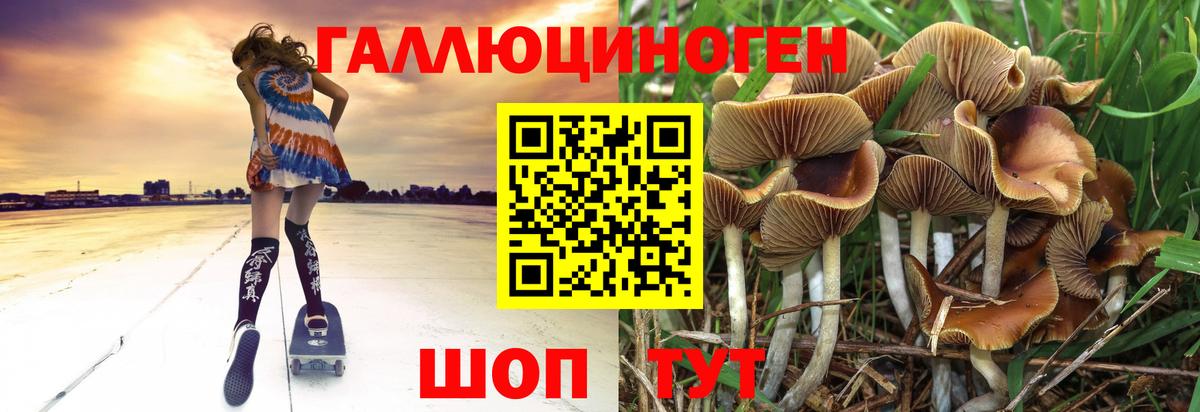 Петрозаводск  Галлюциногенные грибы GOLDEN TEACHER  купить   Вход с VPN 